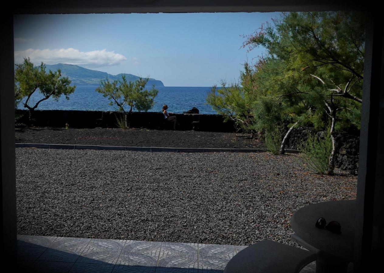 Casa Caminho Da Barca Villa Madalena  Eksteriør billede