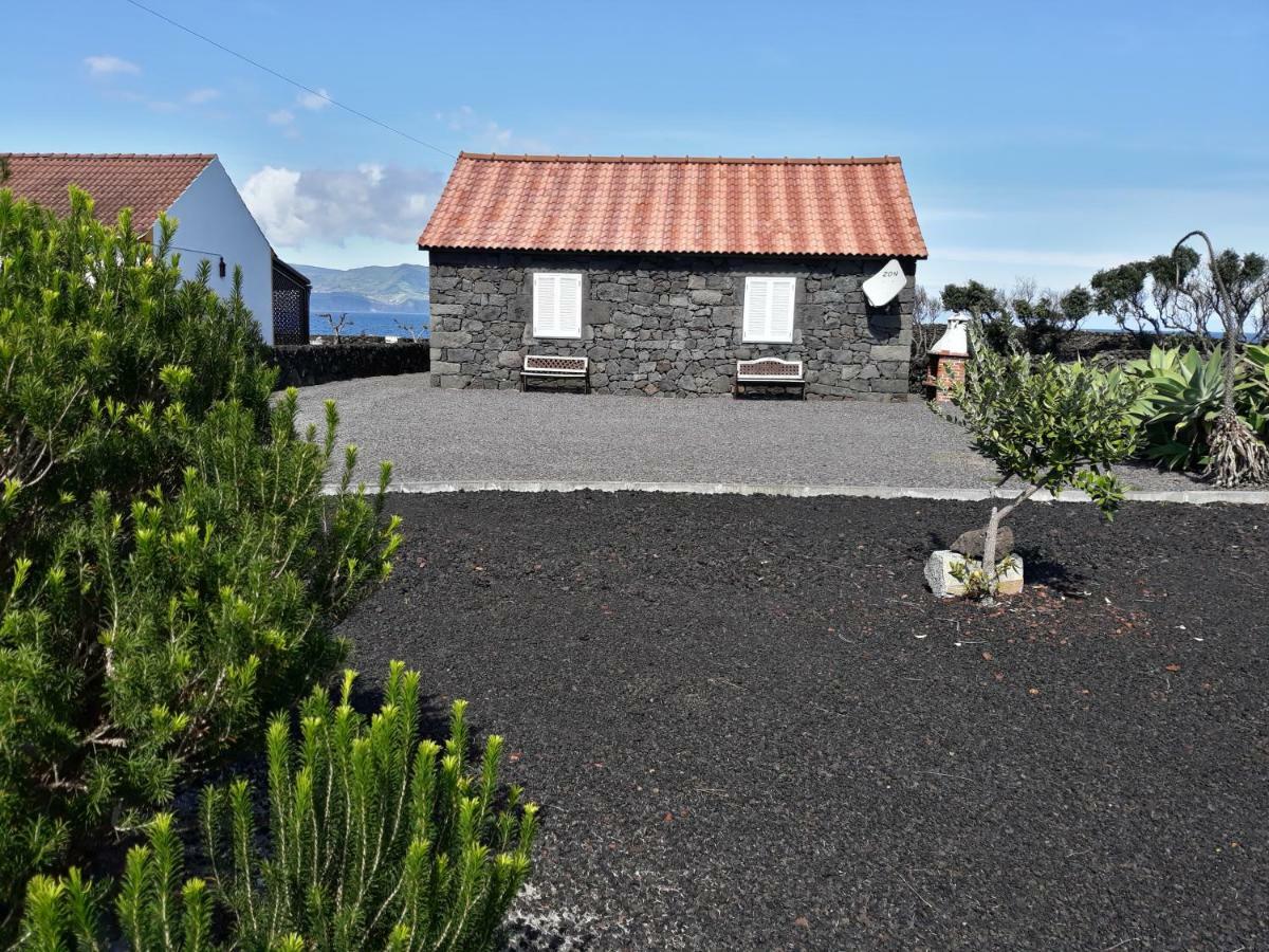 Casa Caminho Da Barca Villa Madalena  Eksteriør billede